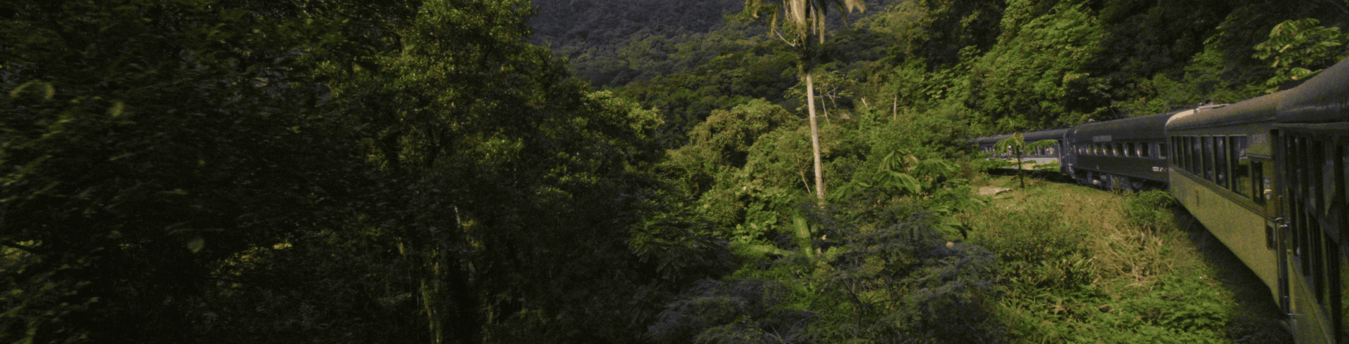 Curitiba com Trem pela Serra do Mar e Ilha do Mel 